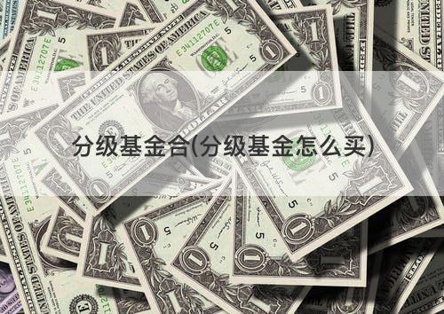 分级基金合(分级基金怎么买) 分级基金合(分级基金怎么买)