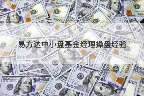 易方达中小盘基金经理操盘经验 易方达中小盘基金经理操盘经验