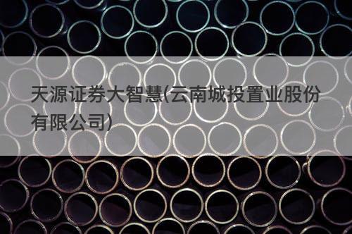 天源证券大智慧(云南城投置业股份有限公司) 天源证券大智慧(云南城投置业股份有限公司)