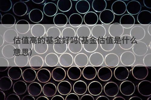 估值高的基金好吗(基金估值是什么意思) 估值高的基金好吗(基金估值是什么意思)