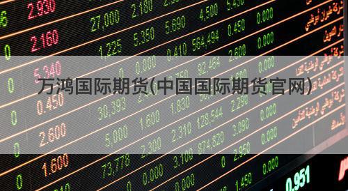 万鸿国际期货(中国国际期货官网) 万鸿国际期货(中国国际期货官网)