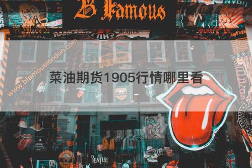 菜油期货1905行情哪里看 菜油期货1905行情哪里看