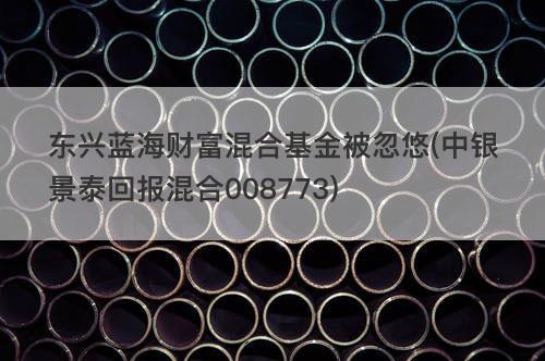 东兴蓝海财富混合基金被忽悠(中银景泰回报混合008773) 东兴蓝海财富混合基金被忽悠(中银景泰回报混合008773)