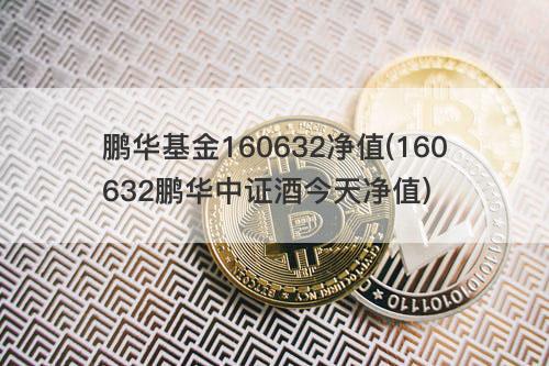 鹏华基金160632净值(160632鹏华中证酒今天净值) 鹏华基金160632净值(160632鹏华中证酒今天净值)
