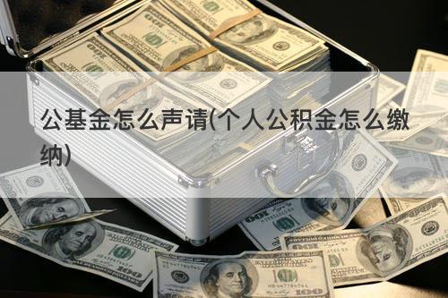公基金怎么声请(个人公积金怎么缴纳) 公基金怎么声请(个人公积金怎么缴纳)