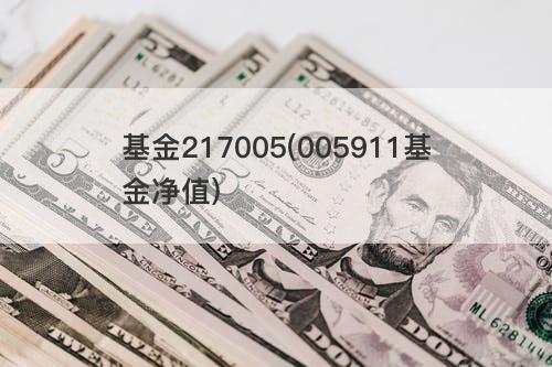 基金217005(005911基金净值) 基金217005(005911基金净值)