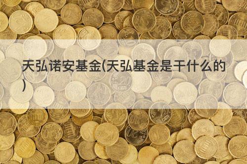 天弘诺安基金(天弘基金是干什么的) 天弘诺安基金(天弘基金是干什么的)