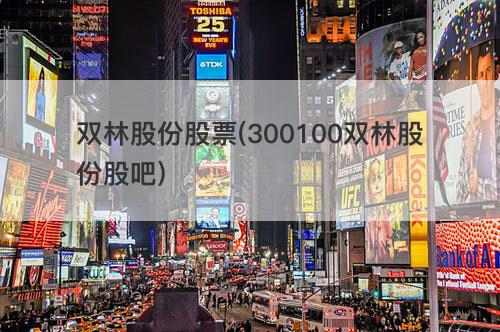 双林股份股票(300100双林股份股吧) 双林股份股票(300100双林股份股吧)