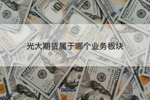 光大期货属于哪个业务板块 光大期货属于哪个业务板块