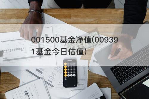 001500基金净值(009391基金今日估值) 001500基金净值(009391基金今日估值)