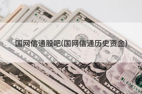 国网信通股吧(国网信通历史资金) 国网信通股吧(国网信通历史资金)