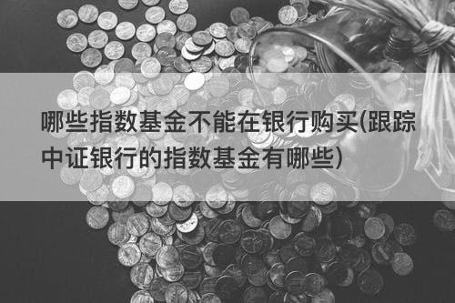 哪些指数基金不能在银行购买(跟踪中证银行的指数基金有哪些) 哪些指数基金不能在银行购买(跟踪中证银行的指数基金有哪些)