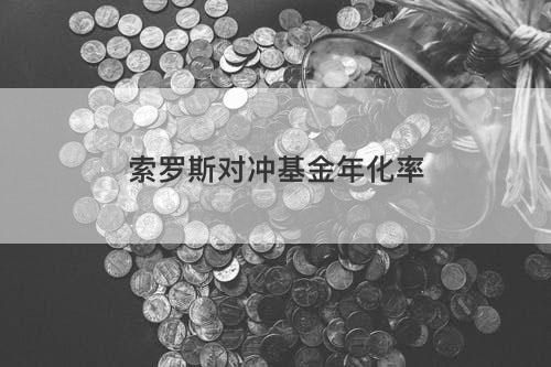 索罗斯对冲基金年化率 索罗斯对冲基金年化率