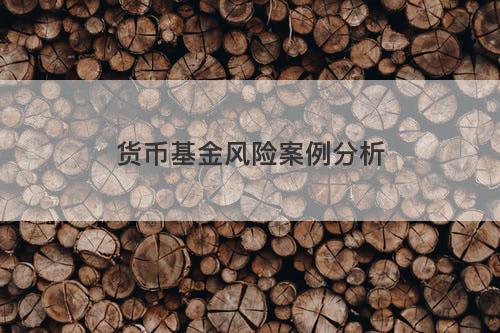 货币基金风险案例分析 货币基金风险案例分析